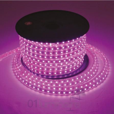 Ruban LED violet